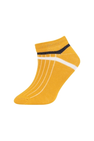 DeFacto Erkek Çocuk 5'li Pamuklu Patik Çorap Z9983A6NSKR1