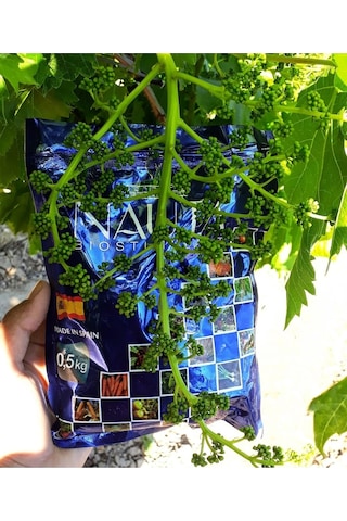 Nauta Biostimulant Katı Deniz Yosunu 500 Gr