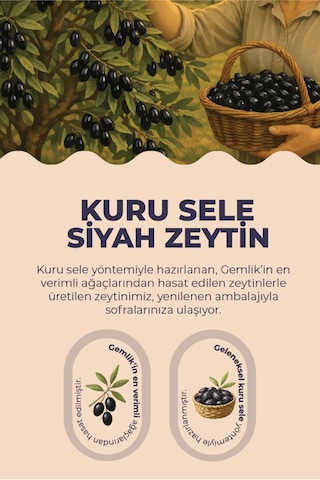 Kuru Sele Siyah Gemlik Zeytin 300 Gr