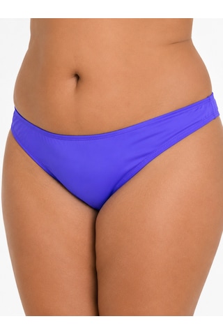 Büyük Beden Klasik Kadın Bikini Alt Lila