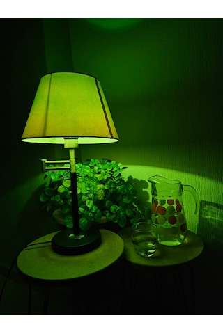 Yeşil Işık Ampulü Dark Aesthetic Room Decor Gece Lambası 10watt 3 Adet