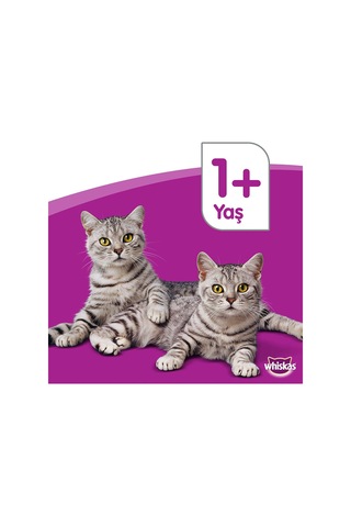Whiskas Biftekli ve Havuçlu Yetişkin Kedi Maması 14 KG