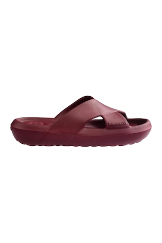 Havaianas Candy Pop Kadın Amarant Rengi Terlik-15312 Bordo