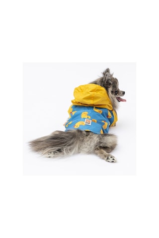 Pawstar Pekin Yağmurluk Küçük Ve Orta Irk