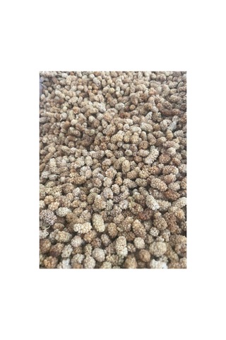 Kuru Dut 250 Gram 250 G