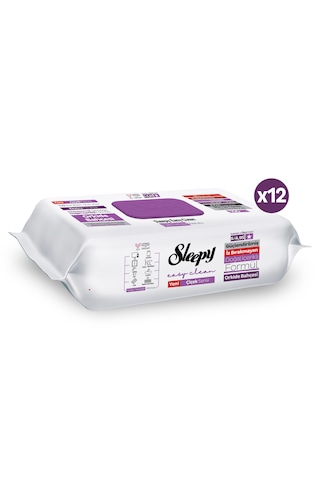 Sleepy Easy Clean Orkide Bahçesi Yüzey Temizlik Havlusu Mendili 12x100 (1200 Yaprak)