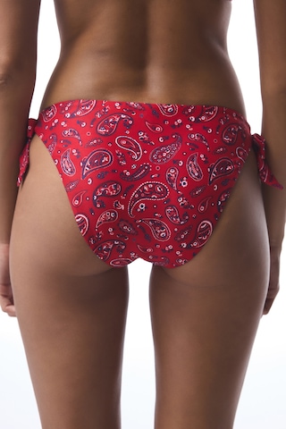 Penti Etnik Desenli Tokalı Bandana Brazilian Bikini Altı Çok Renkli