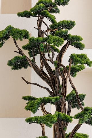 Yapay Büyük Bonsai Ağacı 200 Cm 40 Dal Renkli