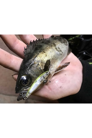 Little Jack Forma Cute 40mm 1.5gr Suni Yem