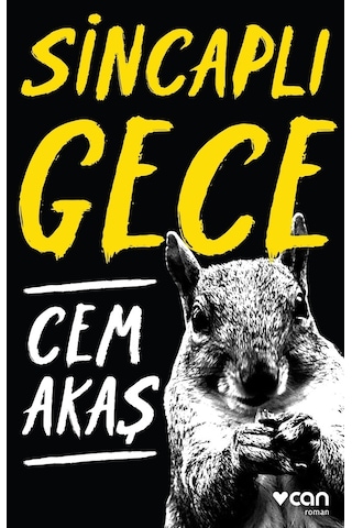 Sincaplı Gece - Cem Akaş - Can Yayınları