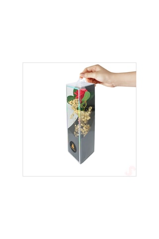 Pvc Kutulu Cipsolu Yapay Kırmızı Gül - 25cm X 7cm