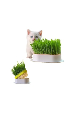Doğal Kedi Çimi, Tüy Yumağı Önleyici Plastik Kâse İle