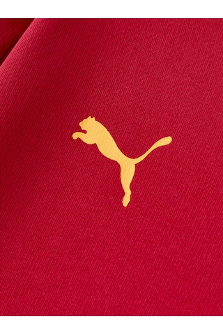 Gsstore Galatasaray Puma Çocuk Kapüşonlu Sweatshirt 78291424 Kırmızı