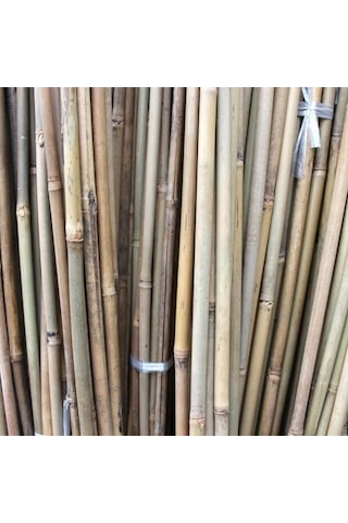 Bambu Çubuk Bitki Destek Çubuğu 10 Adet 22-24 Mm X 210 Cm