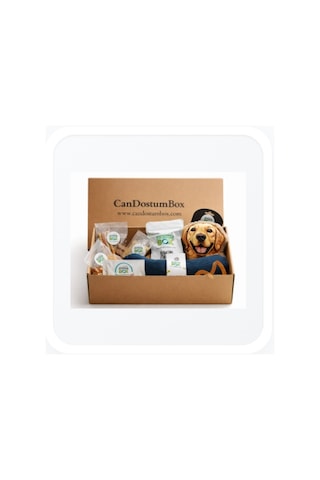 Candostumbox Evcil Hayvan Hediye Kutusu Oyuncak Ve Atıştırmalık