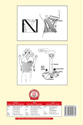 Basitleştirilmiş Klinik Anatomi- Ankara Nobel Tıp