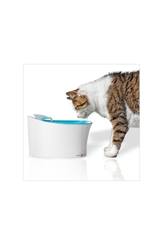 M3 Decorium Otomatik Kedi Köpek Kuş Su İçme Kabı Şelalesi Çeşmesi Sebili 3 L