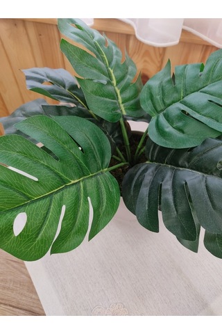 Monstera Devetabanı Beyaz Saksıda Yapay Çiçek