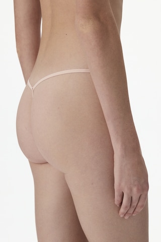 Penti Easy Lace V Shape String A.gul Kurusu