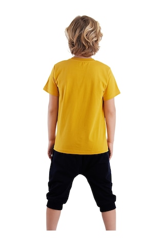 Denokids Mshb&g Arslan Erkek Çocuk T-shirt Kapri Şort Takım Çok Renkli
