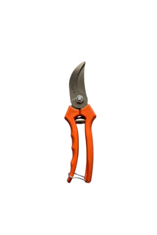 Apalı Bağ Budama Makası Abm 30 Plastik Sap