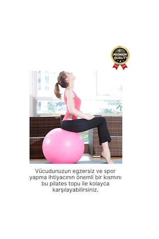 Premium Mini Gymball 20cm Jimnastik Denge Fitness Spor Şişirme Pompası Pembe Pilates Topu