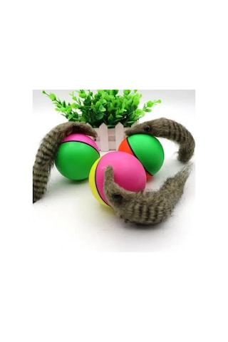 Hareketli Rakun Kedi Köpek Oyuncak Tdrtr Çok Renkli