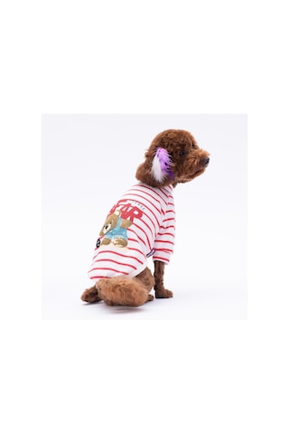 Kırmızı Bear With Me Baskılı Triko Sweat Kedi Köpek Sweat Kedi Köpek Kıyafeti