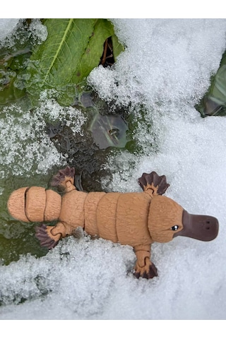 Ornitorenk Oyuncak 3d Hareketli Organik Vip Model- Büyük Boy