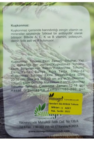 Kuşkonmaz Çiçeği Tohumu 5adet