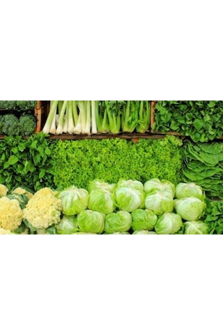 Yeşillik İçin Sıvı Organik Gübre (Marul - Maydanoz - Tere) 5 KG
