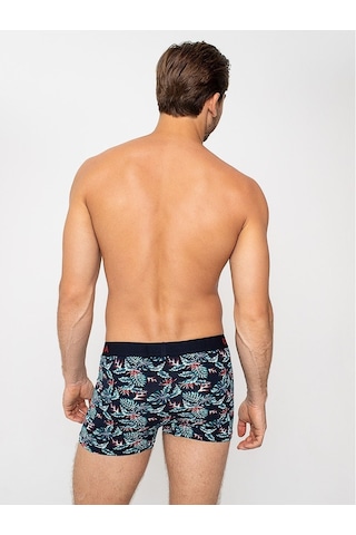 Dorea 2 Adet Erkek Desenli Boxer (446078833)