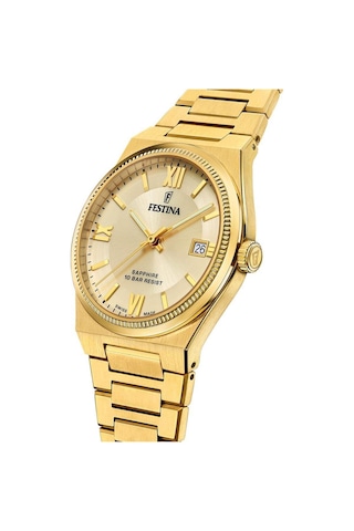 Festına Swıss F20038/2 Erkek Kol Saati Altın