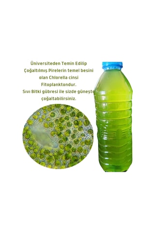 Mawrond Fitoplanktonlu Yeşilsu Chorella Yosunu 500 ML