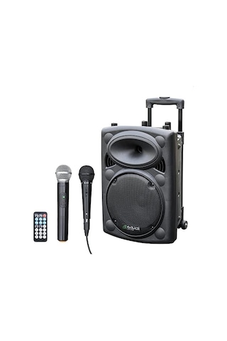 Taşınabilir Hoparlör, 10 Inç, 500w Güç, Bluetooth Ve Usb İle