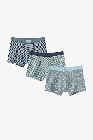 Penti Erkek Çocuk Mavi Dino Dash Pamuklu 3lü Boxer
