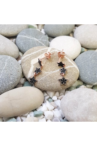 Chavin Rose Kayan Yıldızlar Gümüş Kadın Küpe Ef08Rs (478259325)