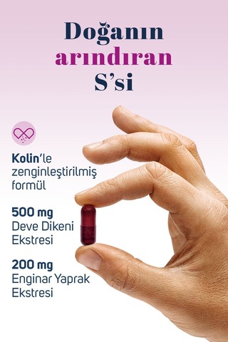 Sidrex Milk Thistle Complex Deve Dikeni Ekstresi ve Enginar Ekstresi İçeren Takviye Edici Gıda 60 Kapsül