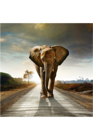 Suntek 40 Cm Tuval Baskı Duvar Sanatı Resim Dekor Süslenmiş