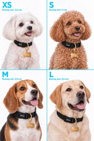 Caramelos İsimli Köpek Tasması, Ayarlanabilir Yavru, Mini, Orta Ve Büyük Irk Köpek Tasması, Siyah