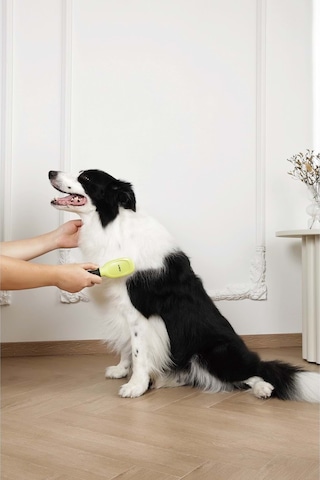 60107199 M-pets Clıck And Groom Kedi Ve Köpek Masaj Uclu Fırça