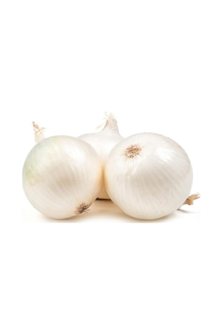 Eko Paket Beyaz Tatlı Soğan Tohumu Beyaz Soğan Tohumu 650 Adet Tohum