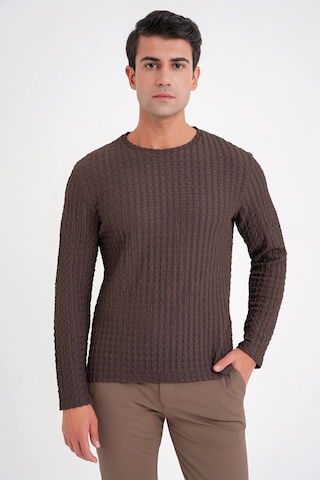 Efor Slim Fit Esnek Pamuklu Dokulu Kumaş Uzun Kollu Kahverengi Tişört Ts 934