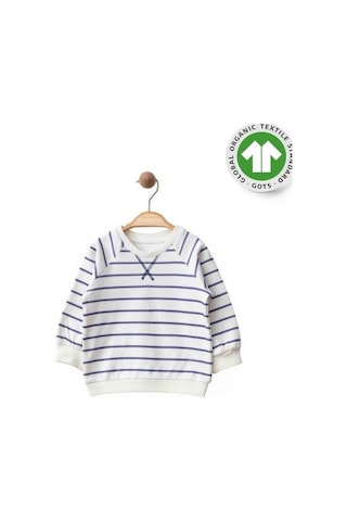 Erkek Bebek Çizgili Organik Eşofman Takım-15484 renkli