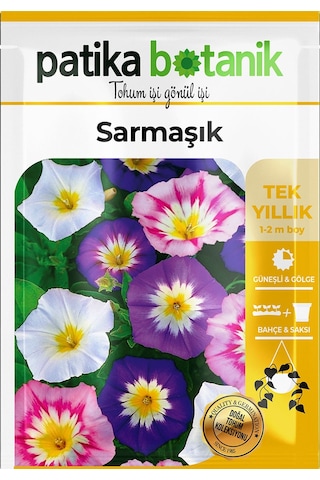 Patika Botanik 100 Adet Sarmaşık/gündüz Safası Çiçek Tohumu