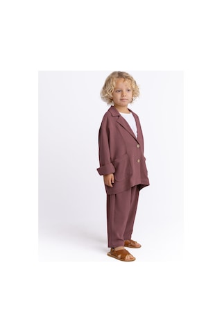 Cigit Keten Blazer Ceket 2-7 Yaş Mürdüm