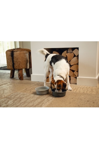 Beeztees Dbl Köpek Mama Su Kabı, Mat Gri Paslanmaz Çelik, 16cm, 940ml