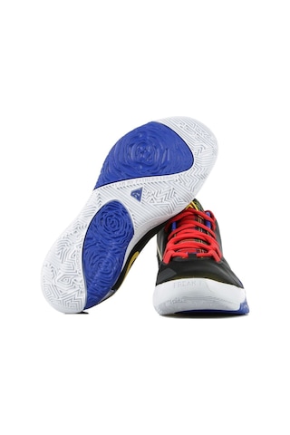 Nike Zoom Freak 1 Basketbol Ayakkabısı Çok Renkli