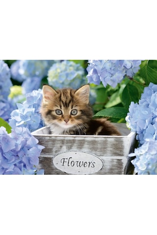 Ravensburger Çocuk Puzzle 300 Parça Kedicik 128945