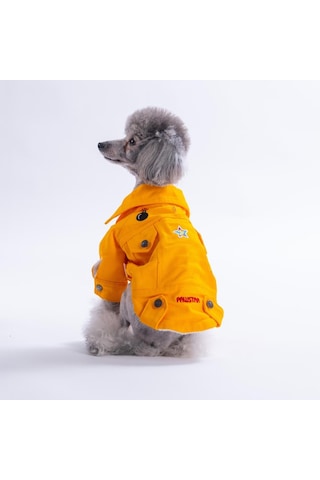 Sarı Cancun - Cancún Ceket Gabardin Çıtçıtlı Kedi Köpek Ceketi Kedi Köpek Kıyafeti Kedi Köpek Elbisesi
